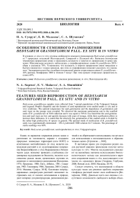 Особенности семенного размножения Hedysarum grandiflorum Pall. ex situ и in vitro