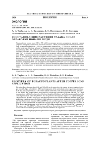 Восстановление растений табака после обработки ионами меди