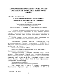 Astragalus kungurensis Boriss на ООПТ "Черниковский бор" (Пермский край)