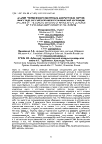 Анализ генетического материала аборигенных сортов винограда российской ампелографической коллекции