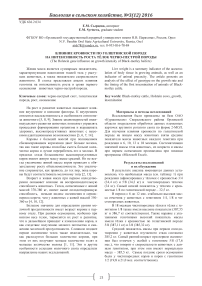 Влияние кровности по голштинской породе на интенсивность роста тёлок черно-пестрой породы