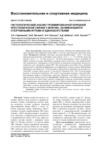Гистологический анализ травмированной передней крестообразной связки у мужчин, занимающихся спортивными играми и единоборствами