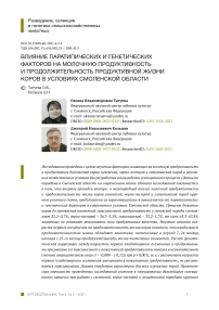 Влияние паратипических и генетических факторов на молочную продуктивность и продолжительность продуктивной жизни коров в условиях Смоленской области