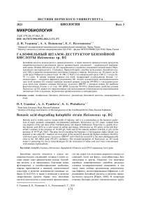 Галофильный штамм-деструктор бензойной кислоты Halomonas sp. D2