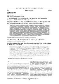 Видовой состав и особенности распределения ихтиофауны Камского водохранилища