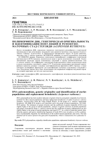 Полиморфизм ДНК, генетическая оригинальность и идентификация популяций и ремонтно-маточных стад стерляди (Acipenser ruthenus)