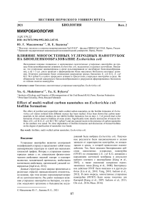 Влияние многостенных углеродных нанотрубок на биопленкообразование Escherichia coli