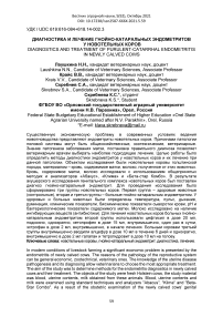 Диагностика и лечение гнойно-катаральных эндометритов у новотельных коров