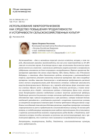 Использование микроорганизмов как средство повышения продуктивности и устойчивости сельскохозяйственных культур