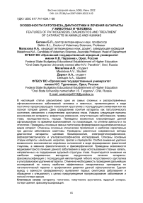 Особенности патогенеза, диагностики и лечения катаракты у животных и человека