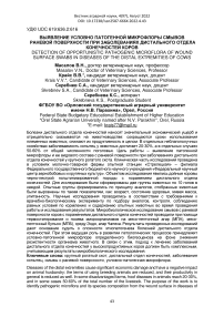 Выявление условно патогенной микрофлоры смывов раневой поверхности при заболеваниях дистального отдела конечностей коров