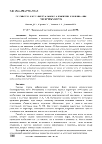 Разработка интеллектуального алгоритма взвешивания молочных коров