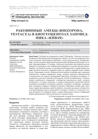 Раковинные амебы (Rhizopoda, Testacea) в биогеоценозах заповедника "Кивач"