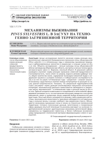 Механизмы выживания Pinus sylvestris L. в засуху на техногенно загрязненной территории