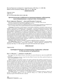 Цитологические особенности мононуклеарных лейкоцитов, культивированных в присутствии полиаминов