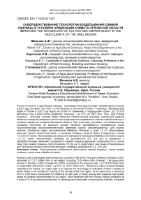 Совершенствование технологии возделывания озимой пшеницы в условиях аридизации климата Орловской области