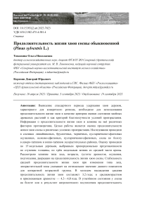 Продолжительность жизни хвои сосны обыкновенной (Pinus sylvestris L.)