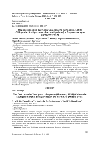 Первая находка Scutigera coleoptrata (Linnaeus, 1958) (Chilopoda: Scutigeromorpha, Scutigeridae) в Пермском крае (Средний Урал)