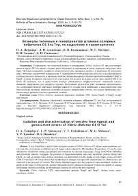 Везикулы типичных и геновариантов штаммов холерных вибрионов О1 Эль Тор, их выделение и характеристика