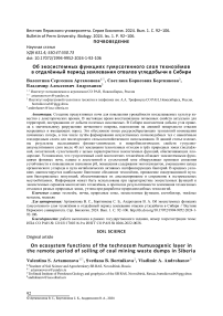 Об экосистемных функциях гумусогенного слоя технозёмов в отдалённый период землевания отвалов угледобычи в Сибири