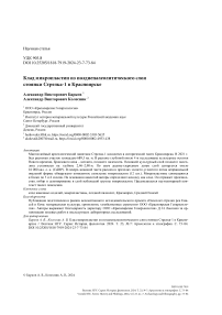 Клад микропластин из позднепалеолитического слоя стоянки Стрелка-1 в Красноярске