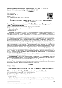 Эпидермальные характери-стики листа некоторых видов рода Valeriana