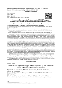 Влияние бактерии Salinicola socius SMB35T на рост озимого рапса при низкой положи-тельной температуре