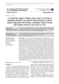 Содержание тяжелых металлов в мышечной ткани и печени различных видов промысловых рыб реки Иртыш (Омская область)