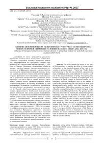 Влияние биоорганических удобрений на структурные элементы продуктивности яровой пшеницы в условиях полевого опыта (2024-2025 гг.)