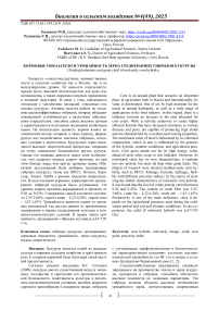 Кормовые показатели и урожайность зерна среднеранних гибридов кукурузы