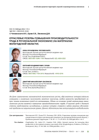 Отраслевые резервы повышения производительности труда в региональной экономике (на материалах Вологодской области)