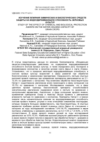 Изучение влияния химических и биологических средств защиты на водоудерживающую способность зерновых культур