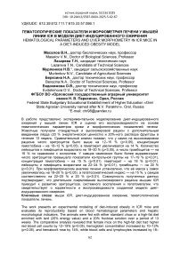 Гематологические показатели и морфометрия печени у мышей линии ICR в модели диет-индуцированного ожирения