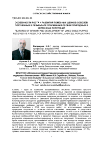 Особенности роста и развития помесных щенков соболей, полученных в результате спаривания особей природных и клеточных популяций