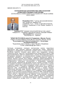 Зоотехническая характеристика овец казахской курдючной грубошерстной породы