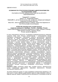 Особенности структуропостроения сыворотки крови при гастроэнтерите телят