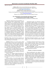 Исследование гематологических показателей голштинских коров разных линий