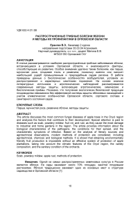 Распространенные грибные болезни яблони и методы их профилактики в Орловской области