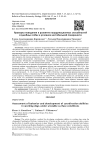 Проверка поведения и развитие координационных способностей служебных собак в условиях нестабильной поверхности