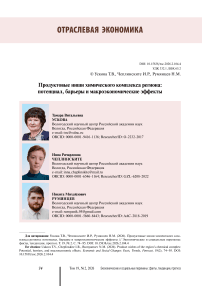 Продуктовые ниши химического комплекса региона: потенциал, барьеры и макроэкономические эффекты