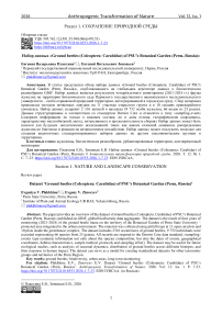 Набор данных «Ground beetles (Coleoptera: Carabidae) of PSU’s Botanical Garden (Perm, Russia)»