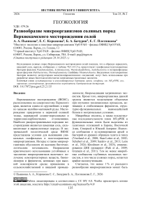 Разнообразие микроорганизмов соляных пород Верхнекамского месторождения солей