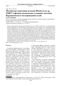 Механизмы адаптации штамма Rhodococcus sp. SMB37 к физико-химическим условиям экотопов Верхнекамского месторождения солей