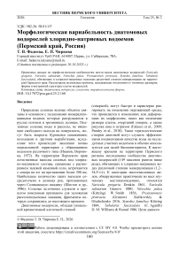 Морфологическая вариабельность диатомовых водорослей хлоридно-натриевых водоемов (Пермский край, Россия)