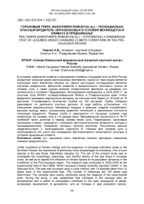 Гороховый трипс (Kakothrips robustus Uz.) – потенциально опасный вредитель зернобобовых в условиях меняющегося климата в Предкавказье