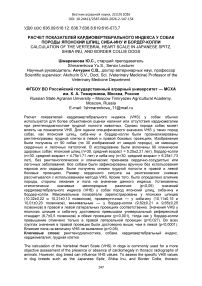 Расчет показателей кардиовертебрального индекса у собак породы японский шпиц, сиба-ину и бордер-колли
