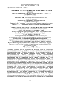 Градобитие, как фактор снижения продуктивности рапса озимого