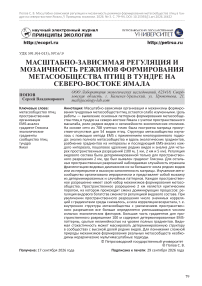 Масштабно-зависимая регуляция и мозаичность режимов формирования метасообщества птиц в тундре на северо-востоке Ямала