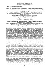 Влияние отвара брусничного листа на показатели белкового катаболизма и электролитного обмена у кошек с хронической болезнью почек