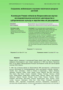 Коллекция Freesia refracta во Всероссийском научно-исследовательском институте цветоводства и субтропических культур и перспективы её расширения